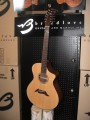 Breedlove American Series Original C25/SMe 12 Saiten